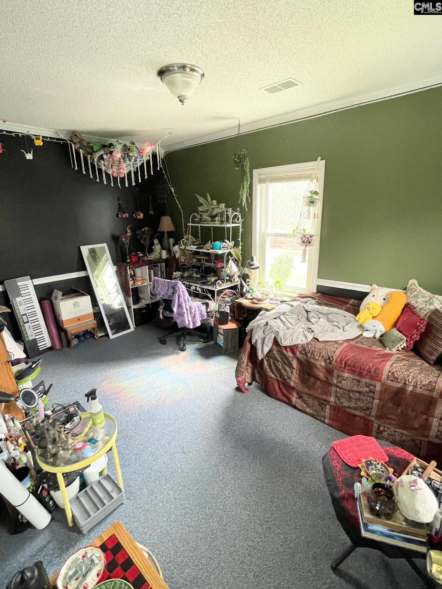 35 Ben Dex Lane, Cassatt, South Carolina image 14