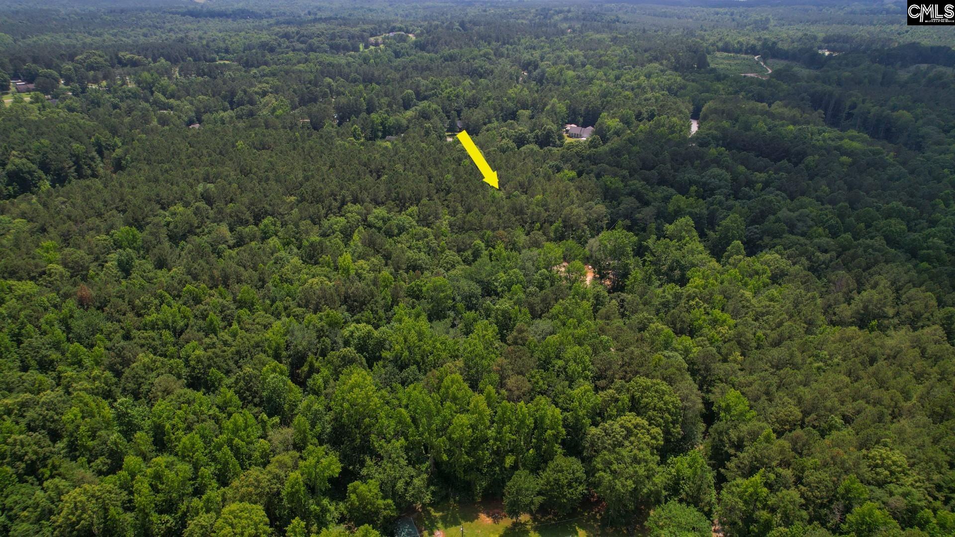 100 Bishop Lane, Prosperity, South Carolina image 21
