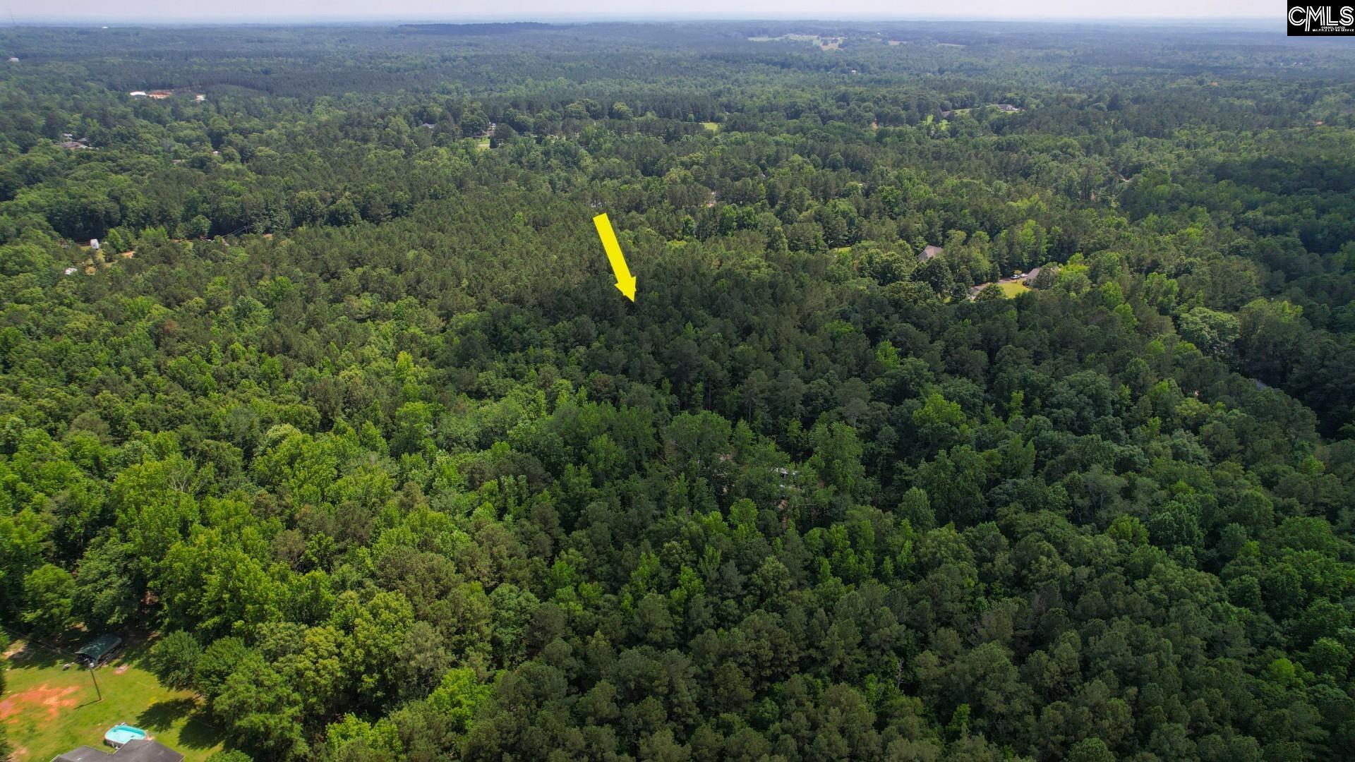 100 Bishop Lane, Prosperity, South Carolina image 23