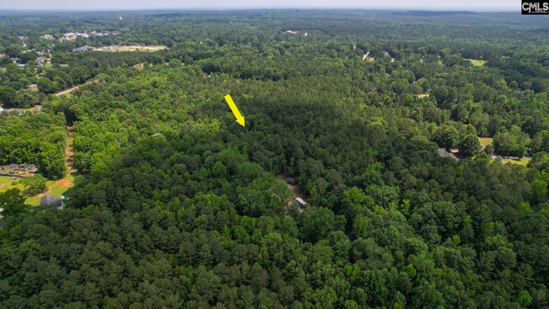 100 Bishop Lane, Prosperity, South Carolina image 24