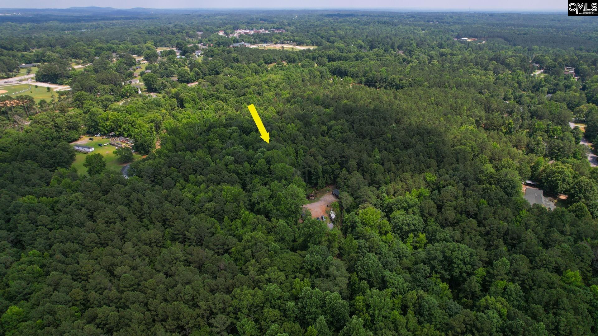 100 Bishop Lane, Prosperity, South Carolina image 25