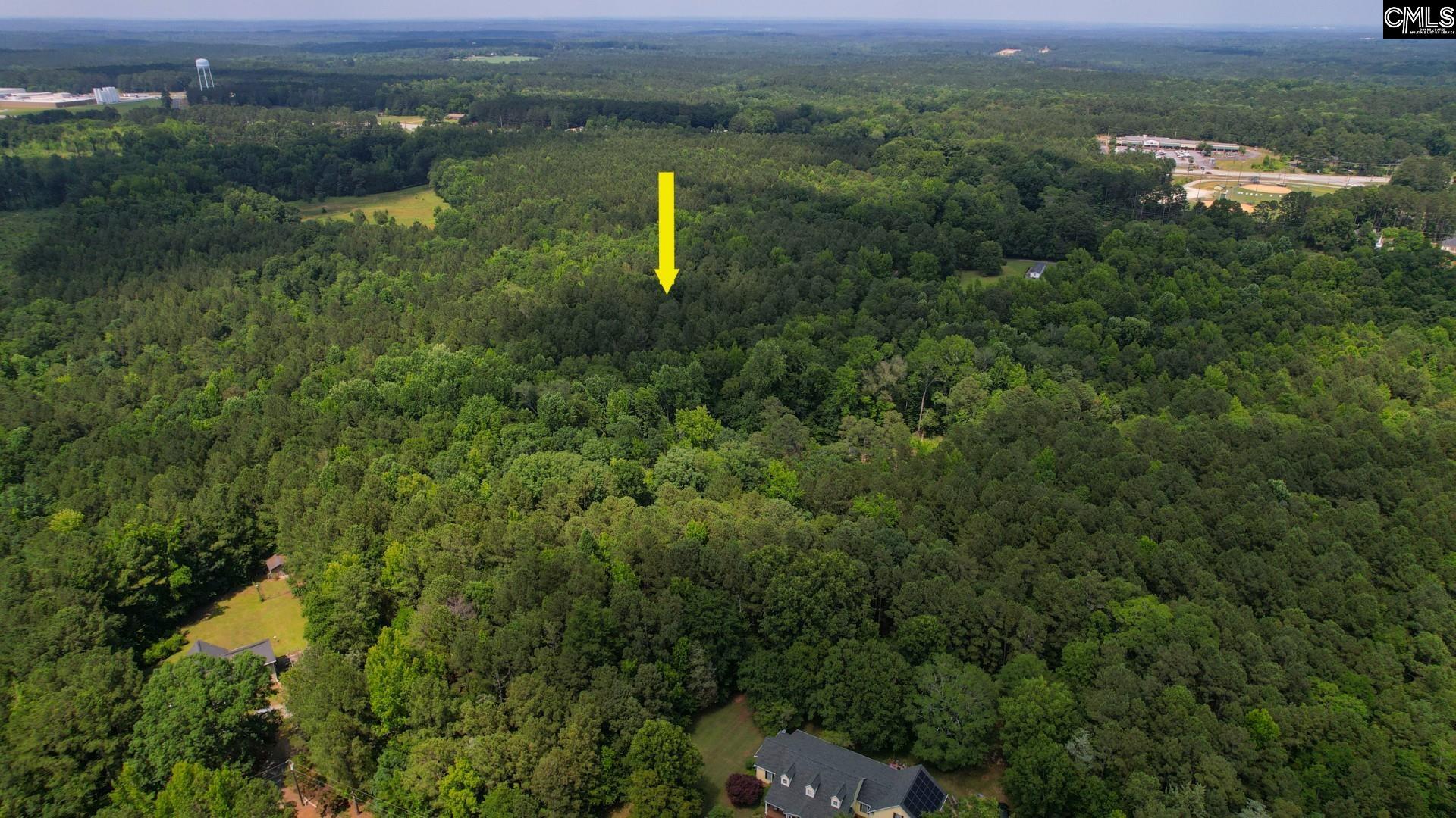 100 Bishop Lane, Prosperity, South Carolina image 29