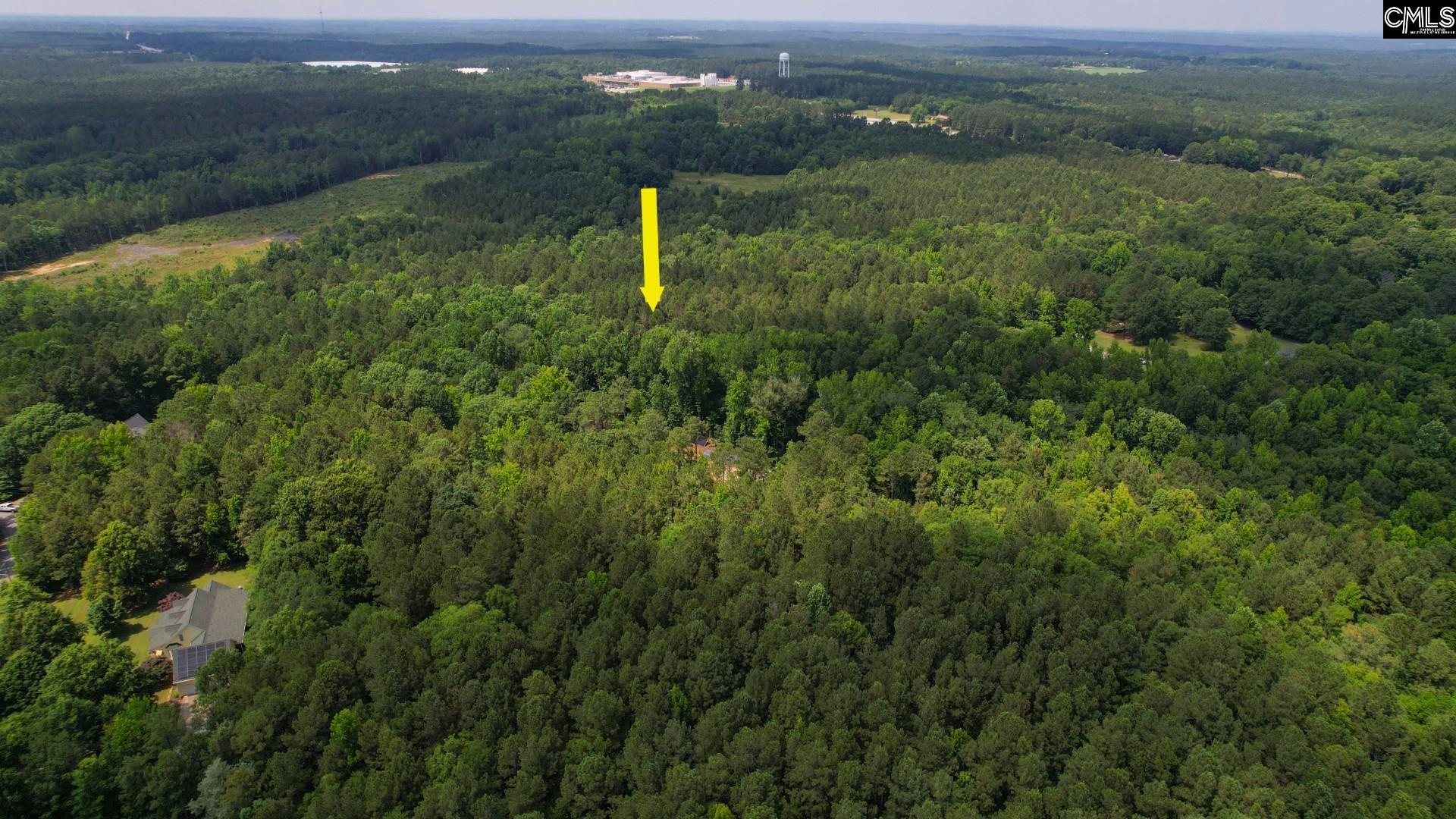 100 Bishop Lane, Prosperity, South Carolina image 31