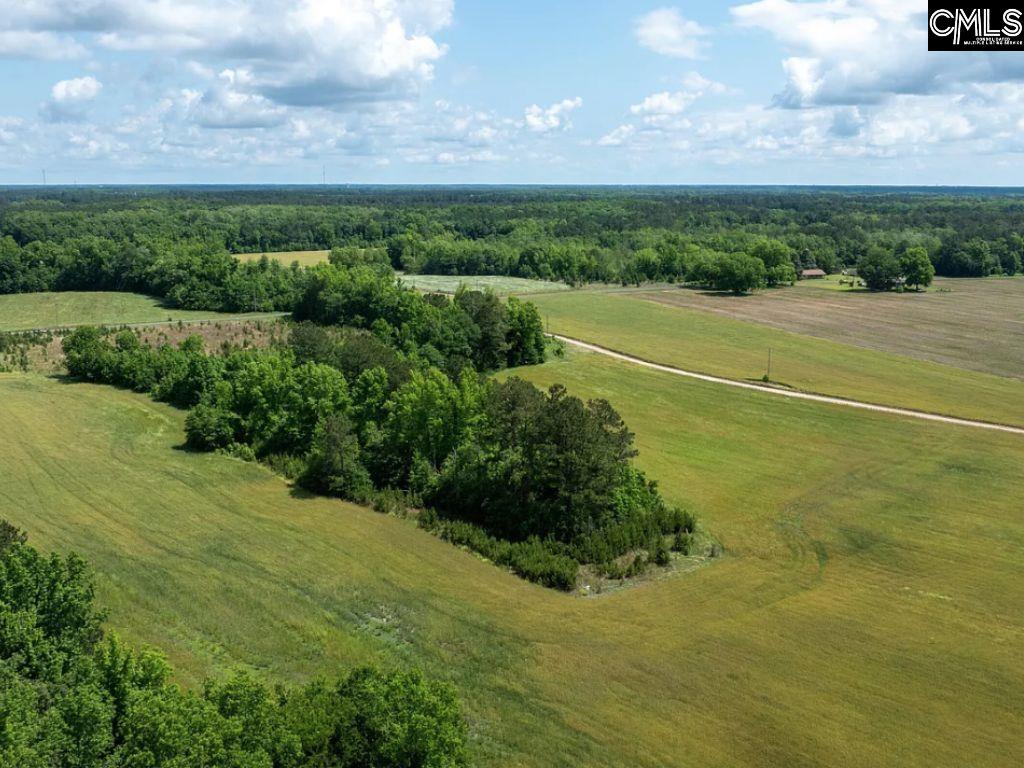 Winter Creek Road, Bowman, South Carolina image 2