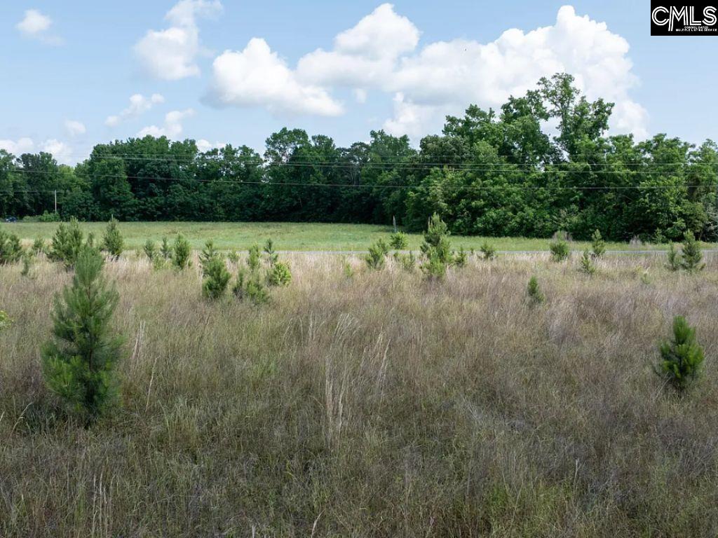Winter Creek Road, Bowman, South Carolina image 14