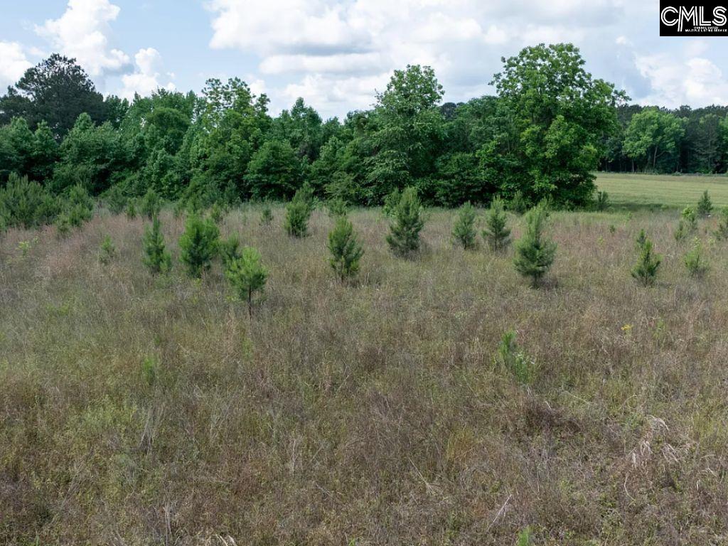 Winter Creek Road, Bowman, South Carolina image 16
