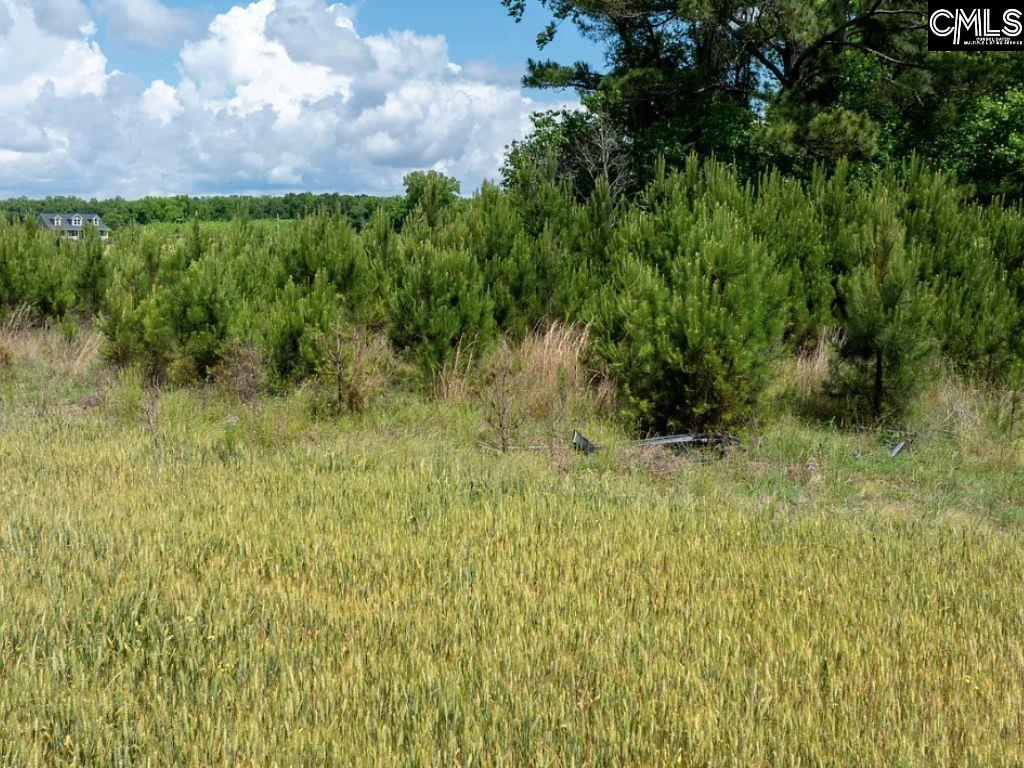 Winter Creek Road, Bowman, South Carolina image 19