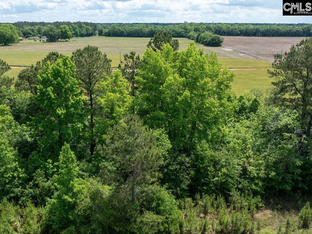 Winter Creek Road, Bowman, South Carolina image 20