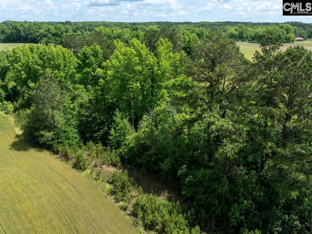 Winter Creek Road, Bowman, South Carolina image 21