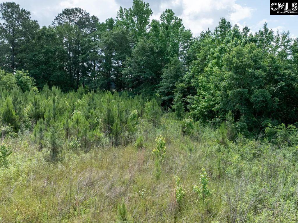 Winter Creek Road, Bowman, South Carolina image 22
