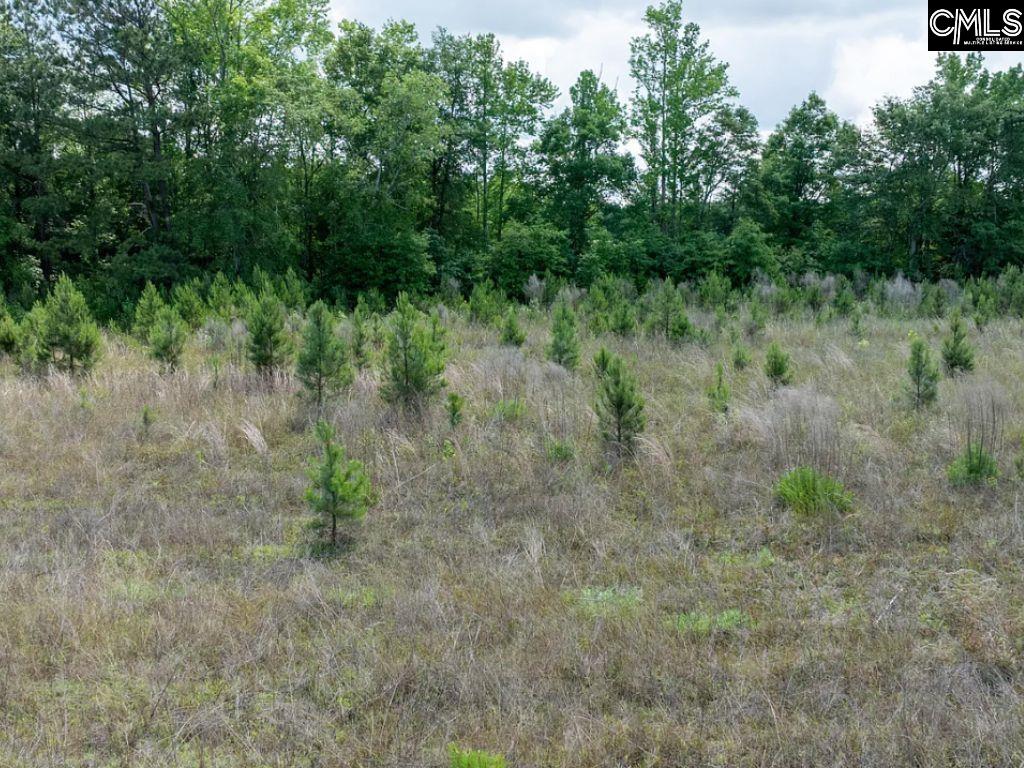 Winter Creek Road, Bowman, South Carolina image 23