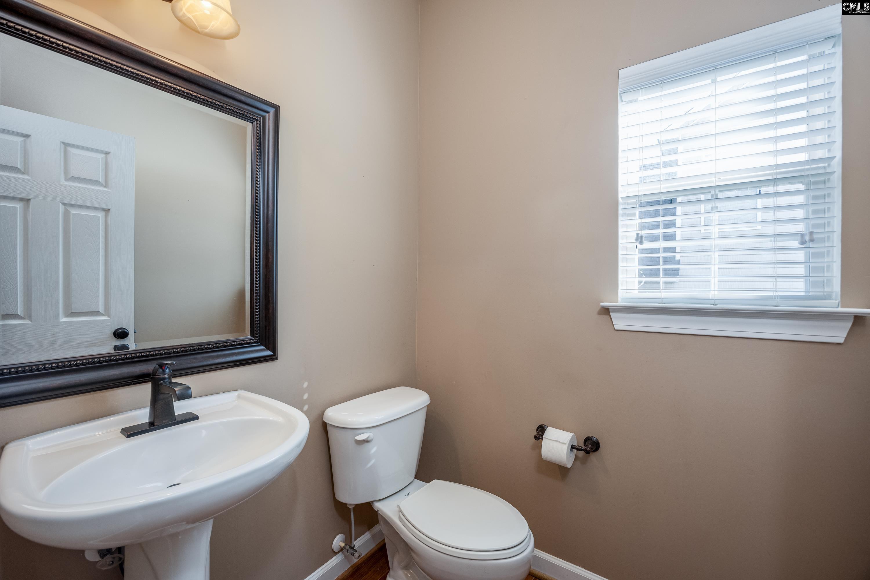 218 Blue Mountain Drive, Irmo, South Carolina image 20
