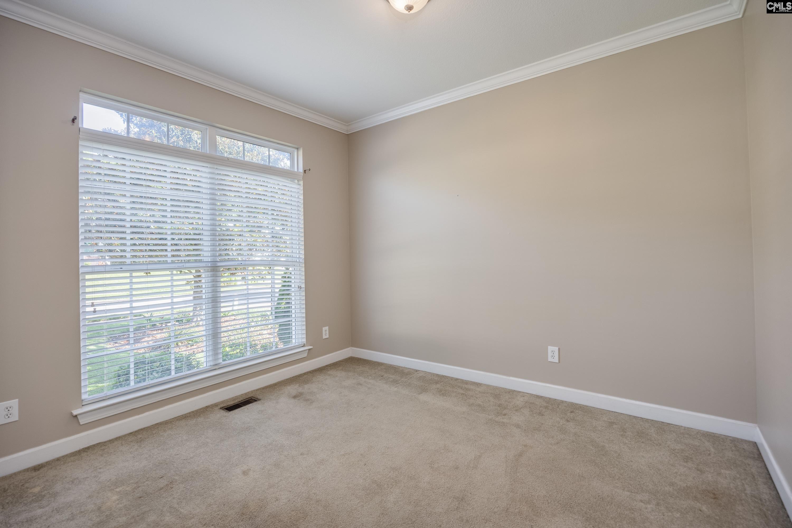 218 Blue Mountain Drive, Irmo, South Carolina image 6