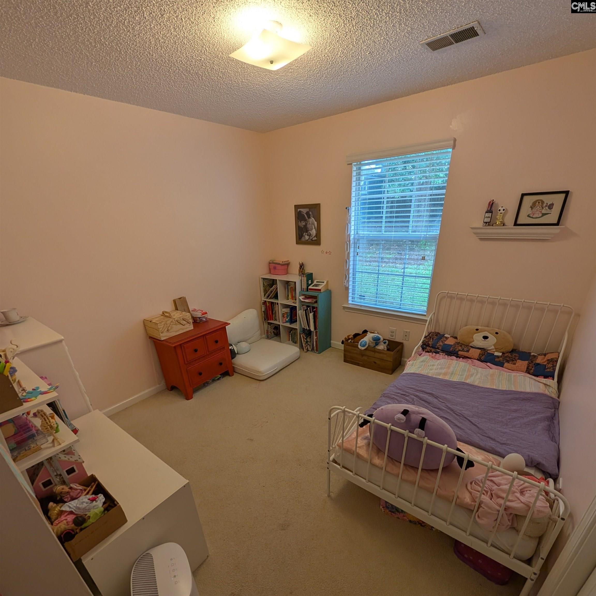 500 Caddis Creek Road, Irmo, South Carolina image 9