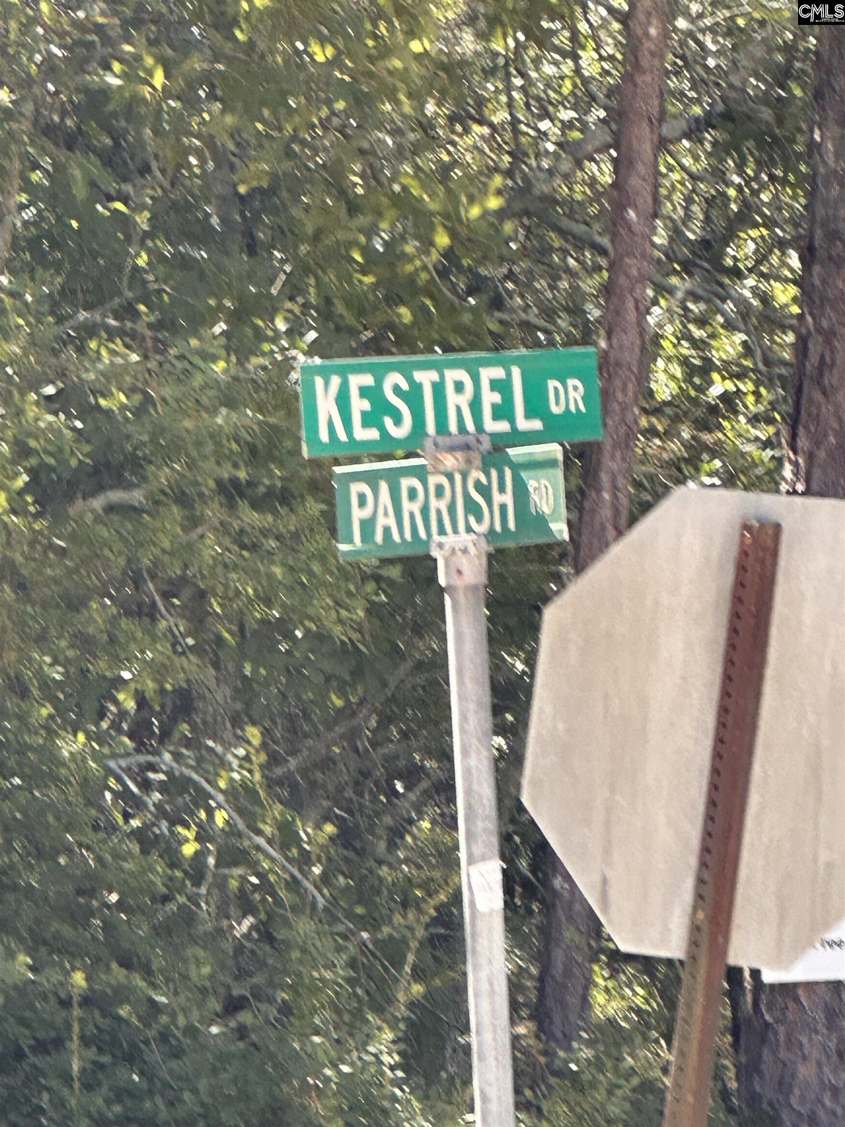 000 Kestrel Drive, Leesville, South Carolina image 5