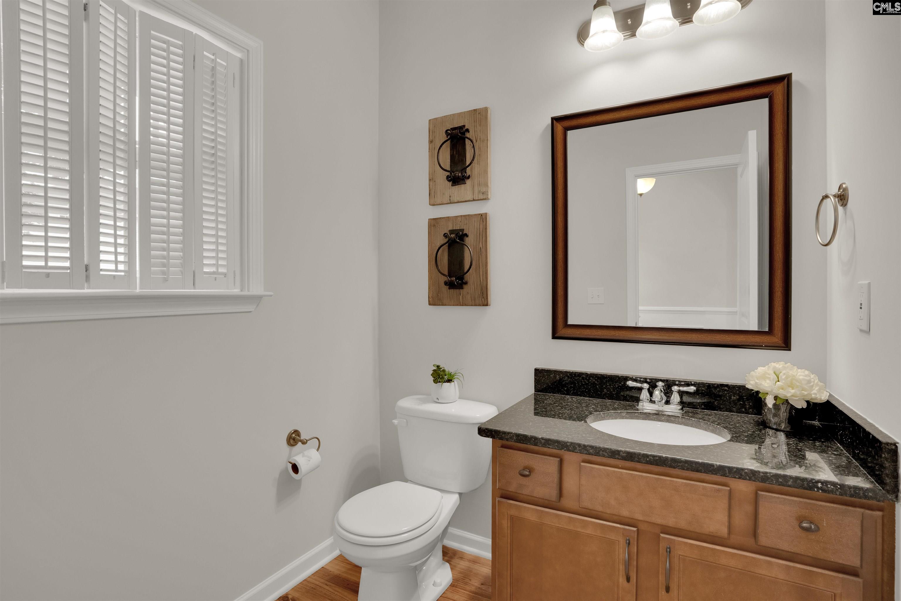 330 Lanyard Lane, Chapin, South Carolina image 17