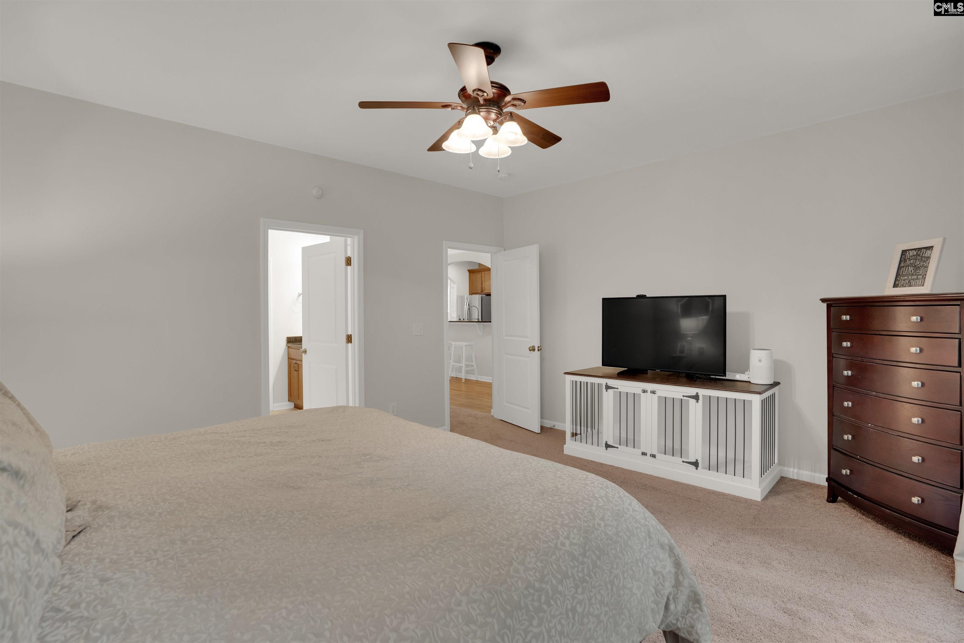 330 Lanyard Lane, Chapin, South Carolina image 20