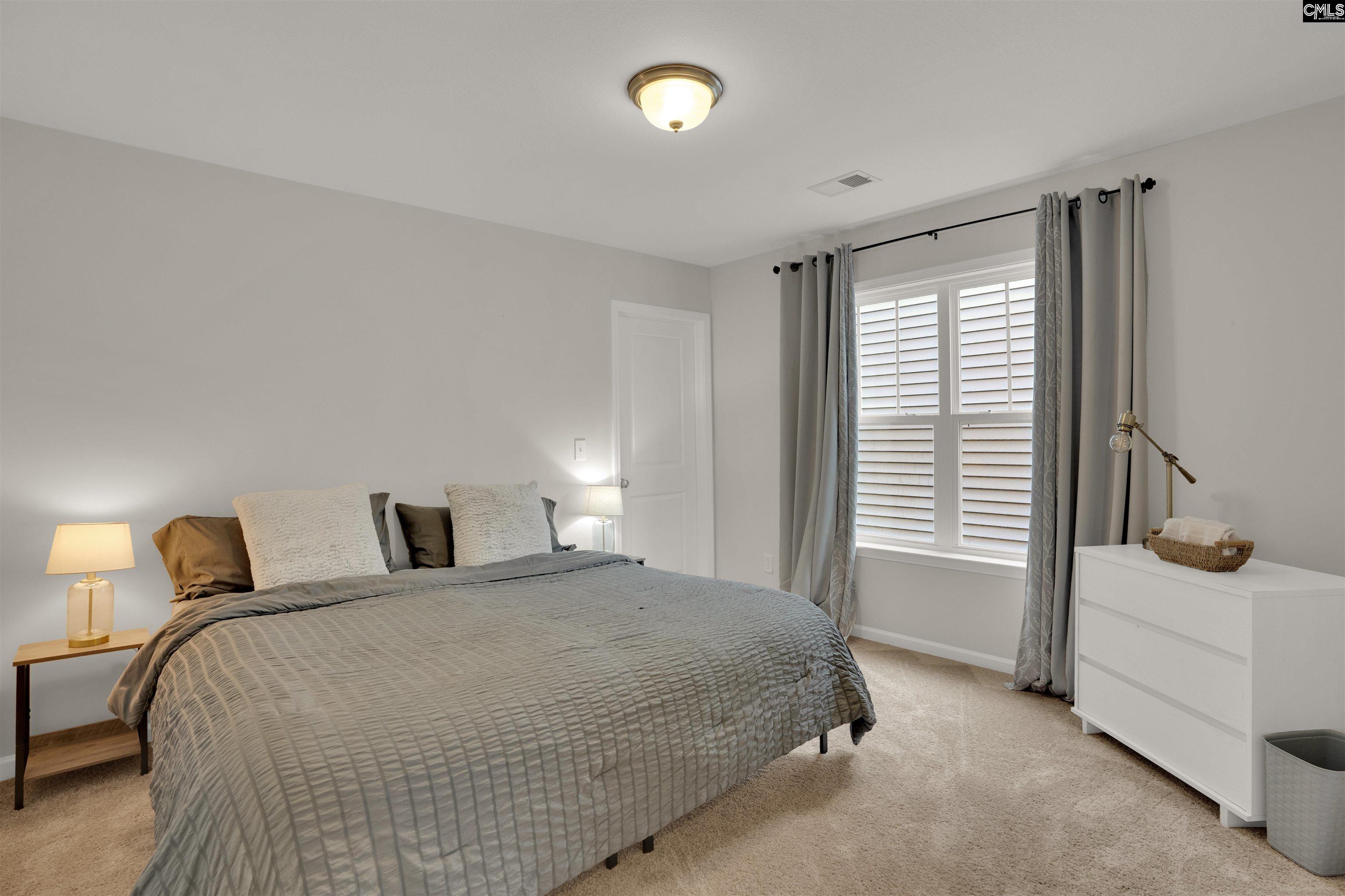 330 Lanyard Lane, Chapin, South Carolina image 25