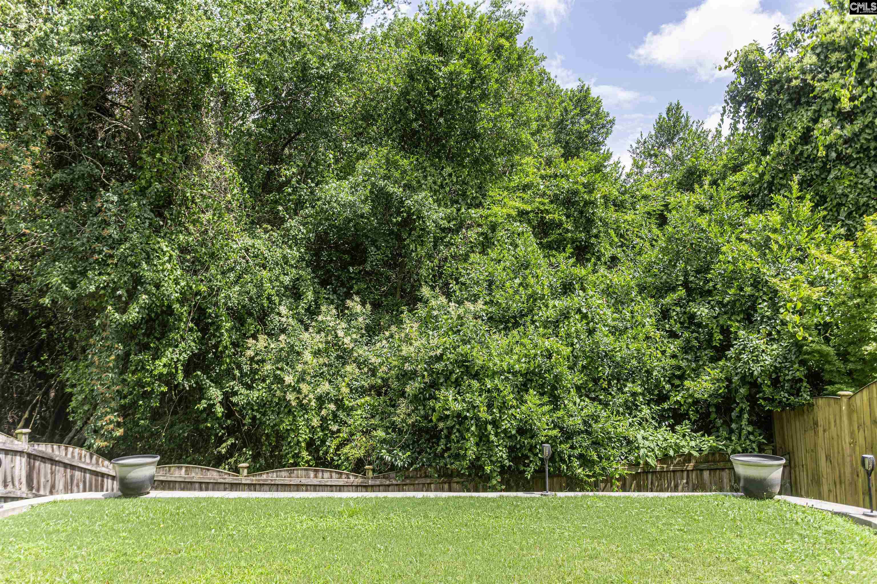 124 Weeping Oak Lane, West Columbia, South Carolina image 22