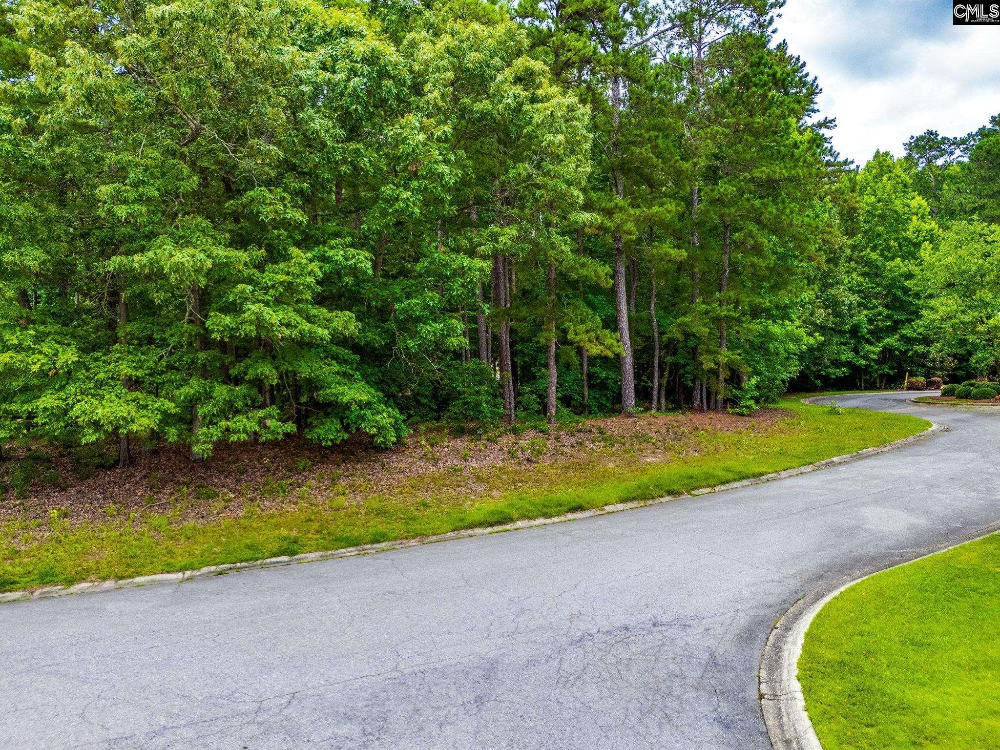 203 Beaver Lake Drive UNIT #17 Elgin, SC 29045