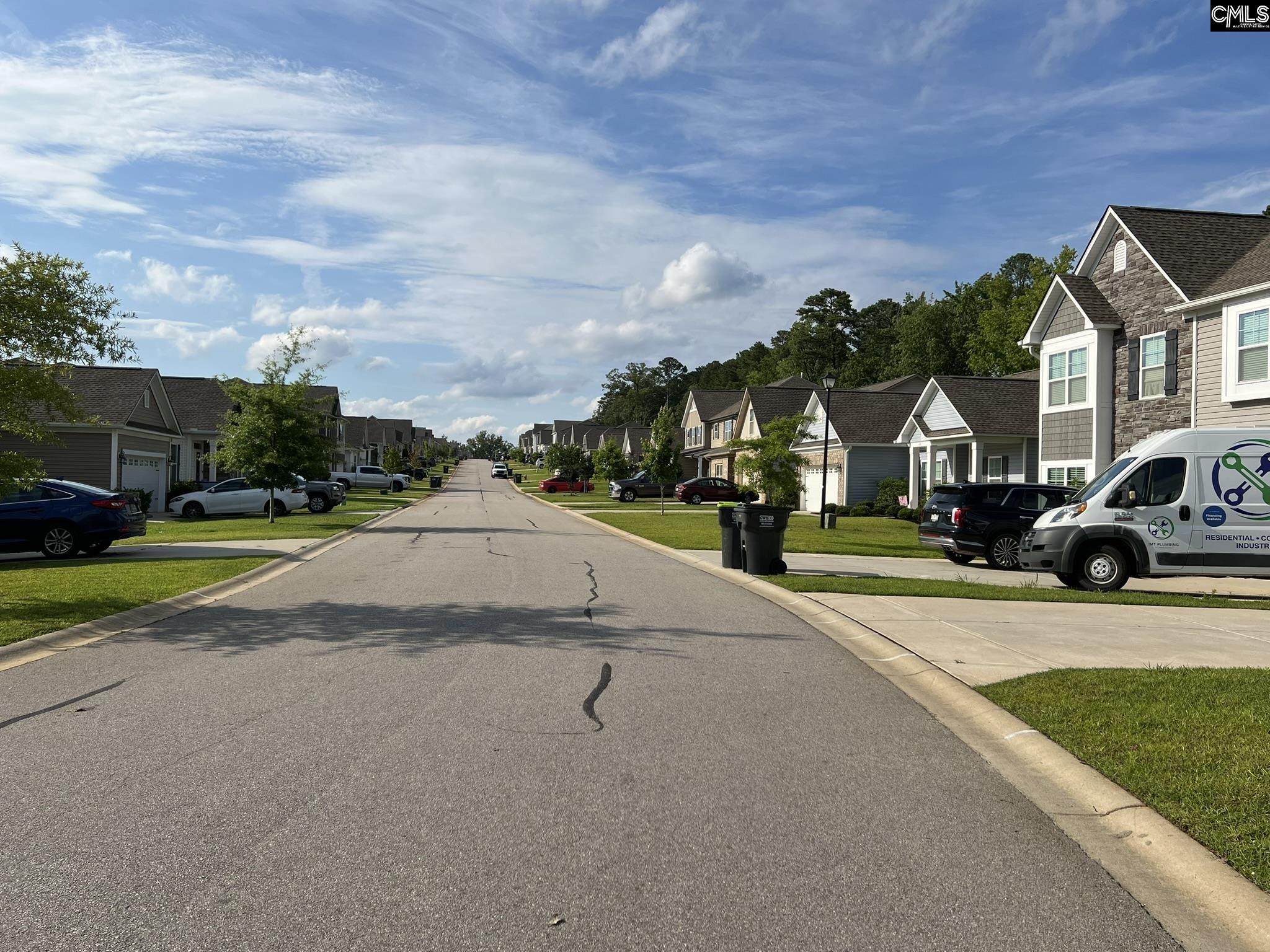 124 Doolittle Drive, Chapin, South Carolina image 5