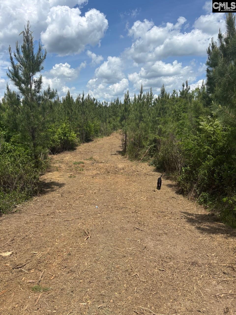 SCF 5 Long Cane Road #SCF 5, EDGEFIELD, South Carolina image 2