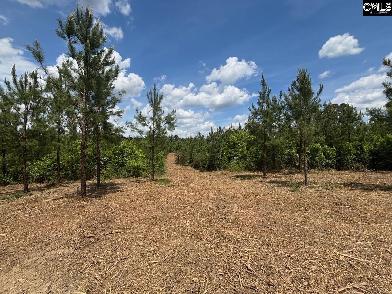 SCF 5 Long Cane Road #SCF 5, EDGEFIELD, South Carolina image 3