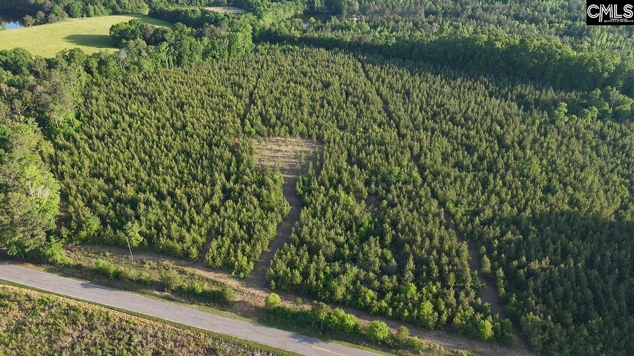 SCF 5 Long Cane Road #SCF 5, EDGEFIELD, South Carolina image 7