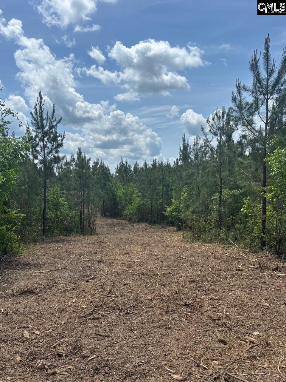 SCF 5 Long Cane Road #SCF 5, EDGEFIELD, South Carolina image 9