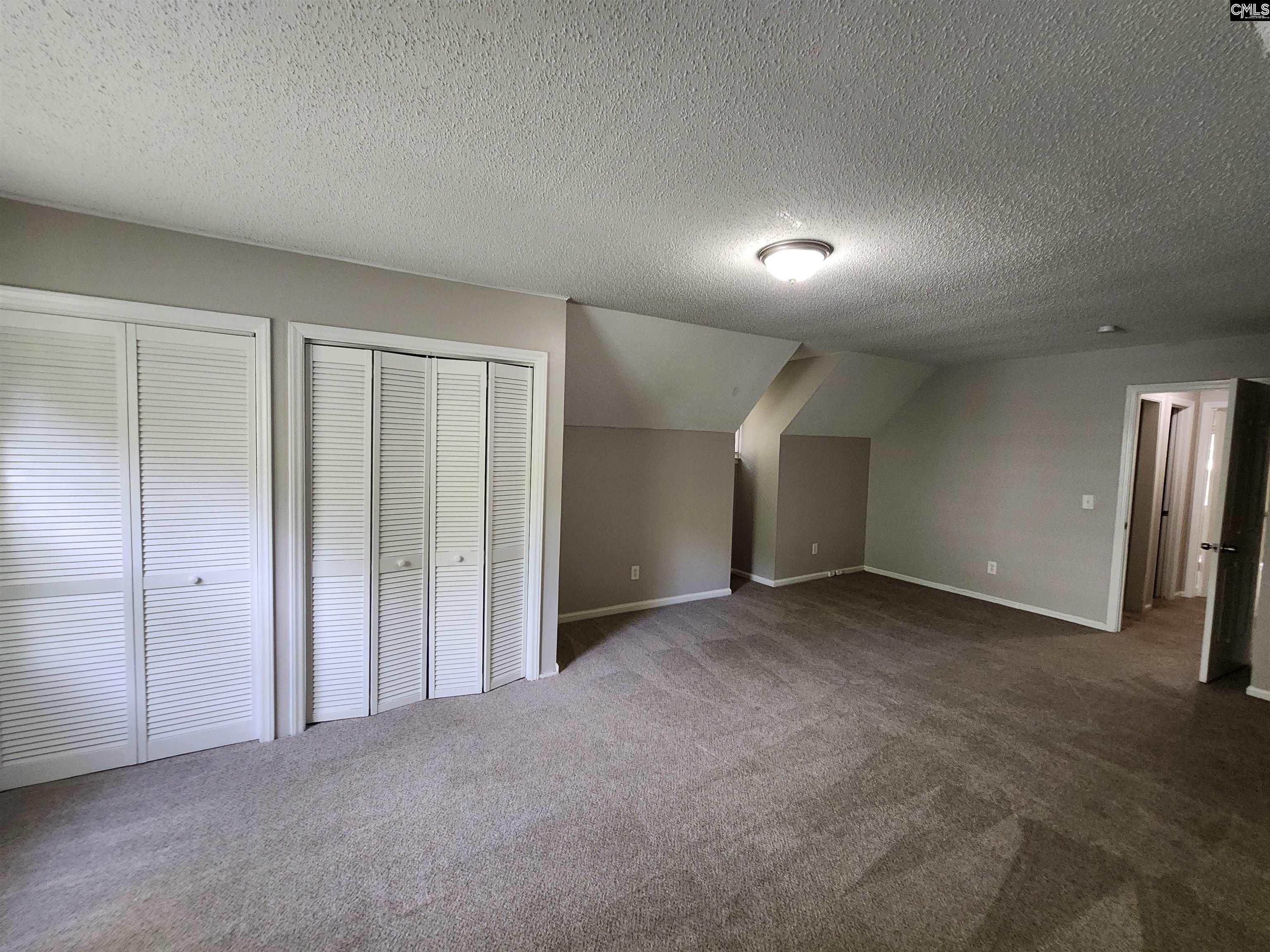 325 Trinity Three Road, Irmo, South Carolina image 18