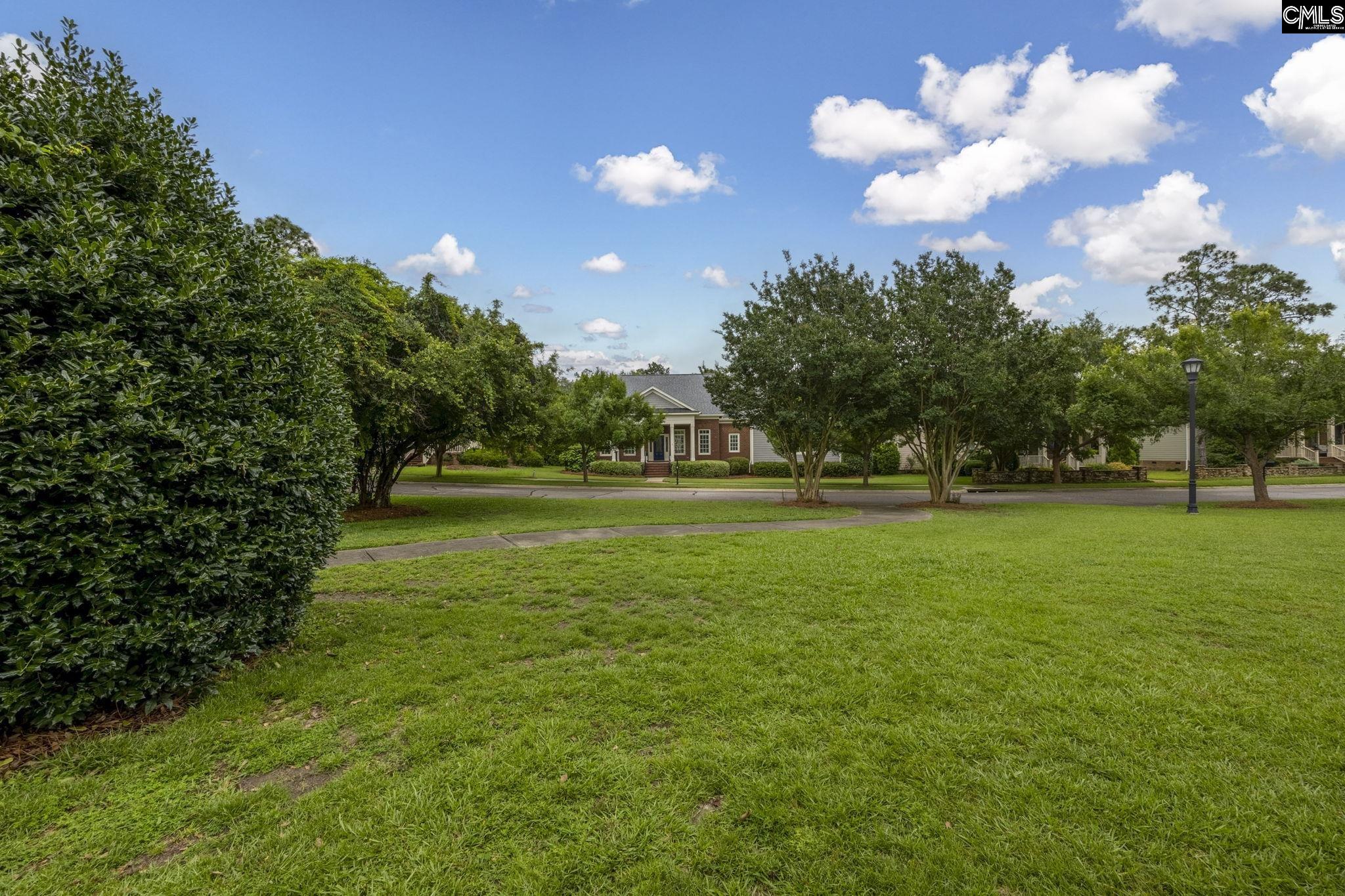 3 Parish Walk Lane, Elgin, South Carolina image 47