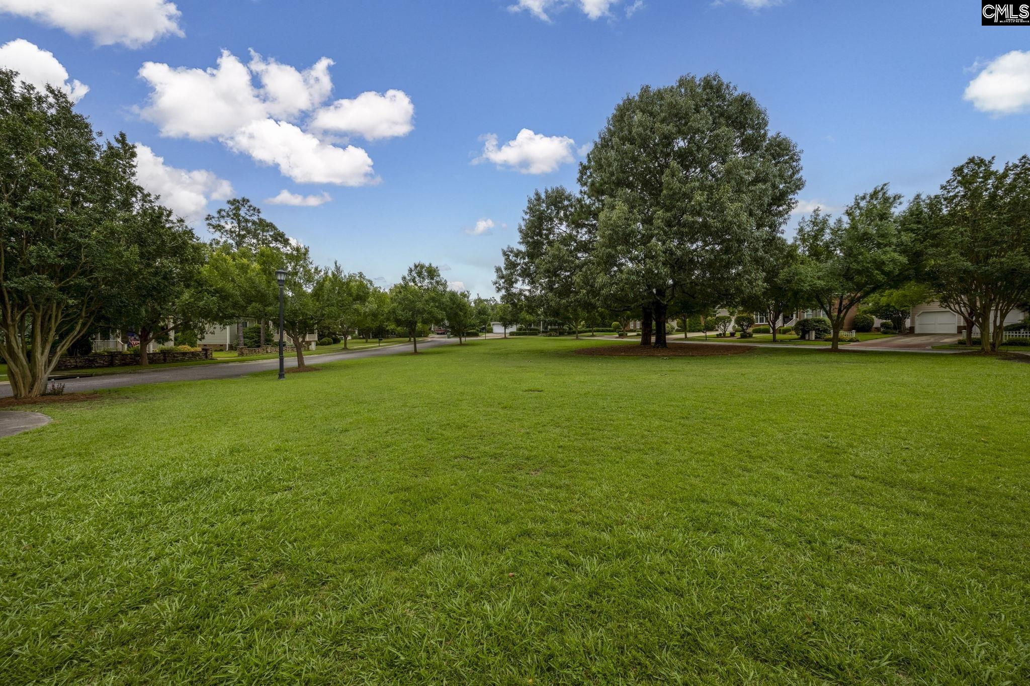 3 Parish Walk Lane, Elgin, South Carolina image 48