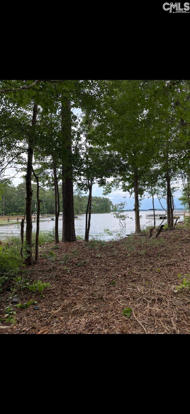Hanging Oak Rd Hanging Oak Rd Lot 10, Prosperity, South Carolina image 2