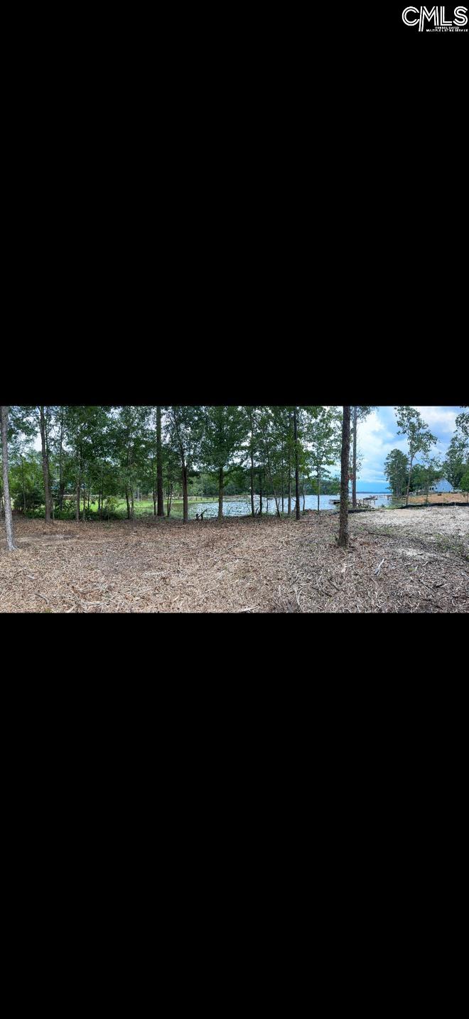 Hanging Oak Rd Hanging Oak Rd Lot 10, Prosperity, South Carolina image 3