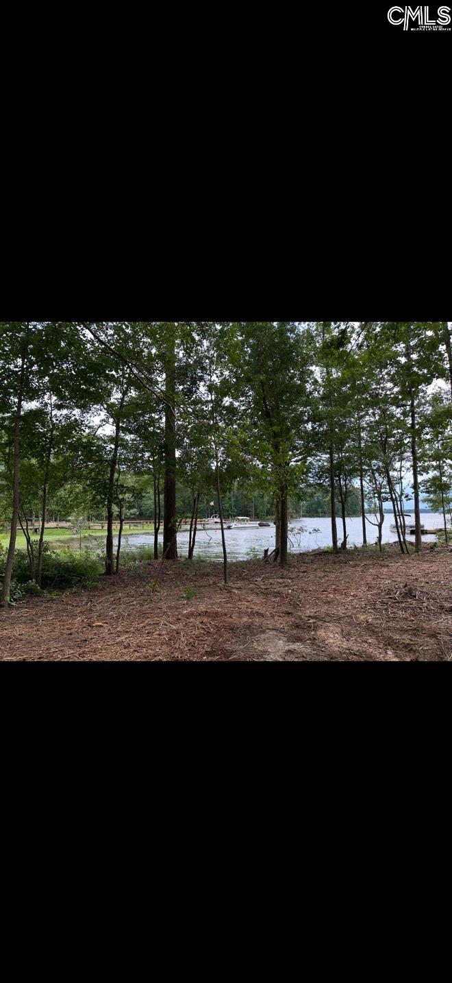 Hanging Oak Rd Hanging Oak Rd Lot 10, Prosperity, South Carolina image 4
