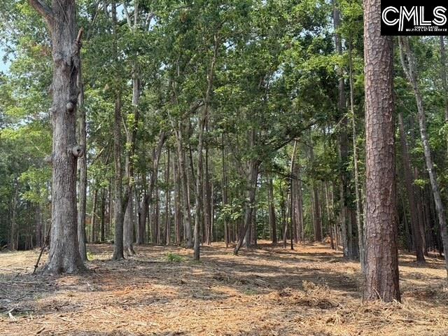 Hanging Oak Rd Hanging Oak Rd Lot 10, Prosperity, South Carolina image 5
