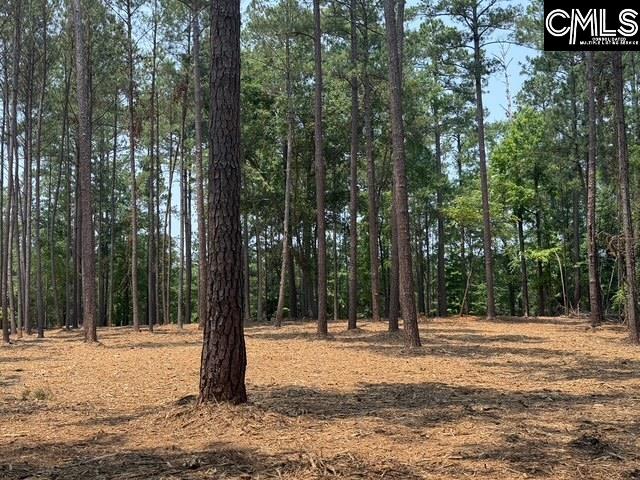 Hanging Oak Rd Hanging Oak Rd Lot 10, Prosperity, South Carolina image 6