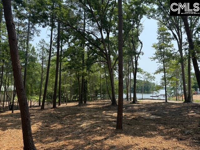 Hanging Oak Rd Hanging Oak Rd Lot 10, Prosperity, South Carolina image 7