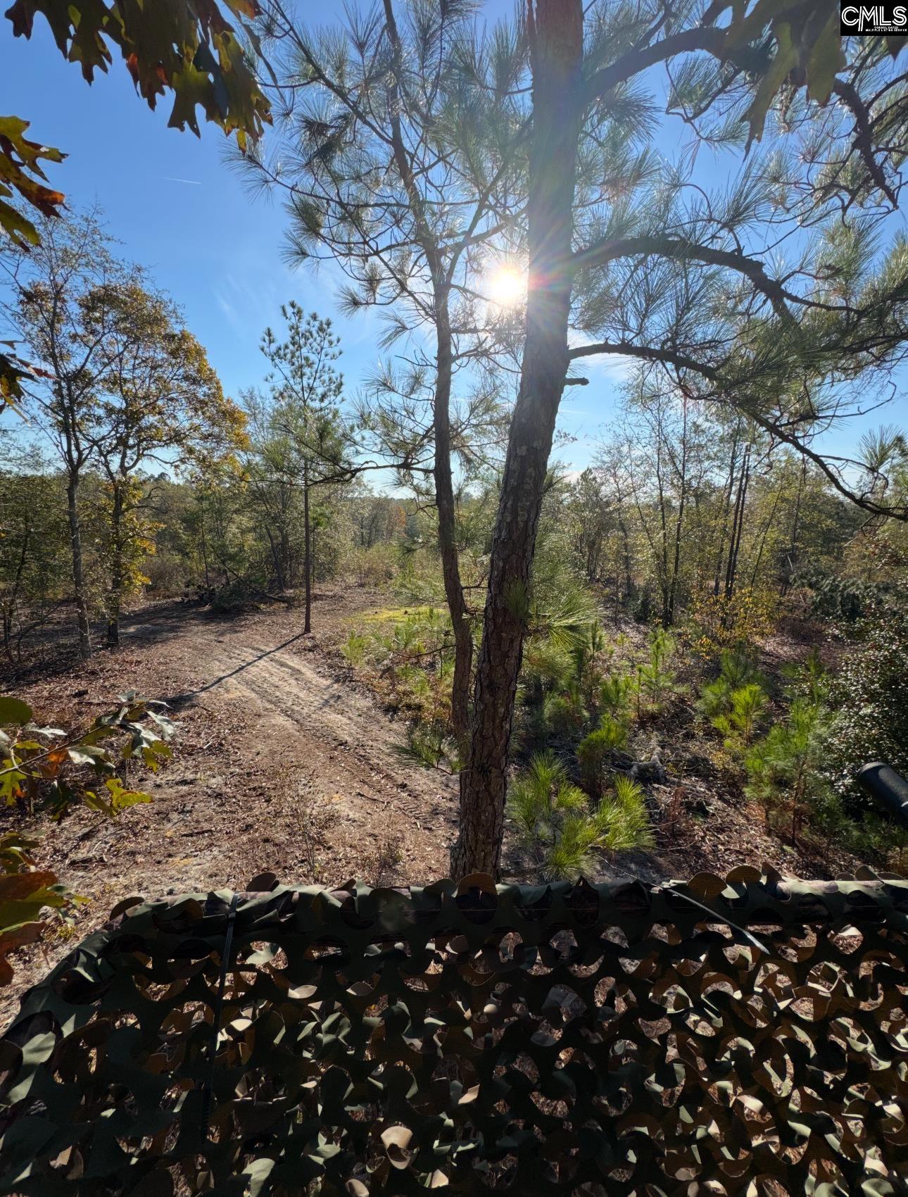 Bagpipe Road, Batesburg, South Carolina image 2