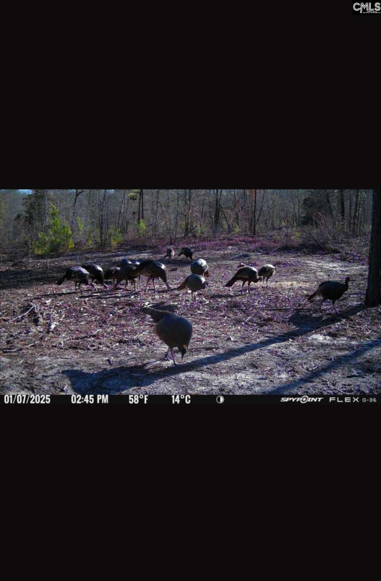 Bagpipe Road Batesburg, SC 29006