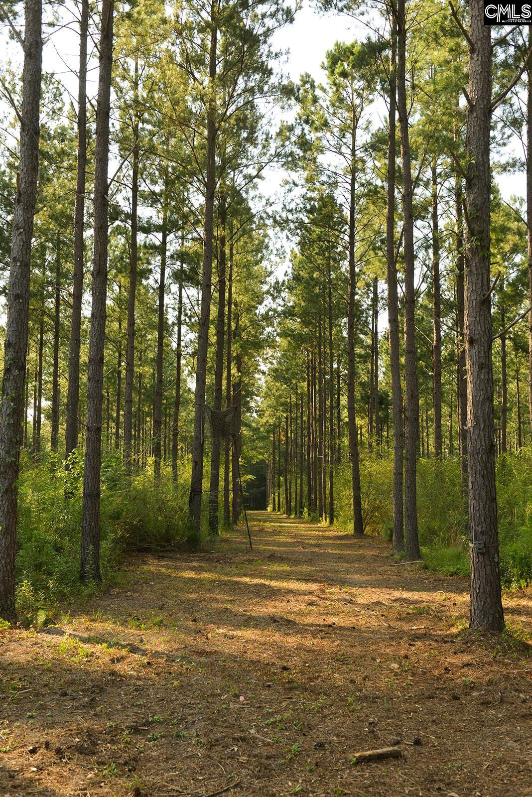 Bagpipe Road Batesburg, SC 29006