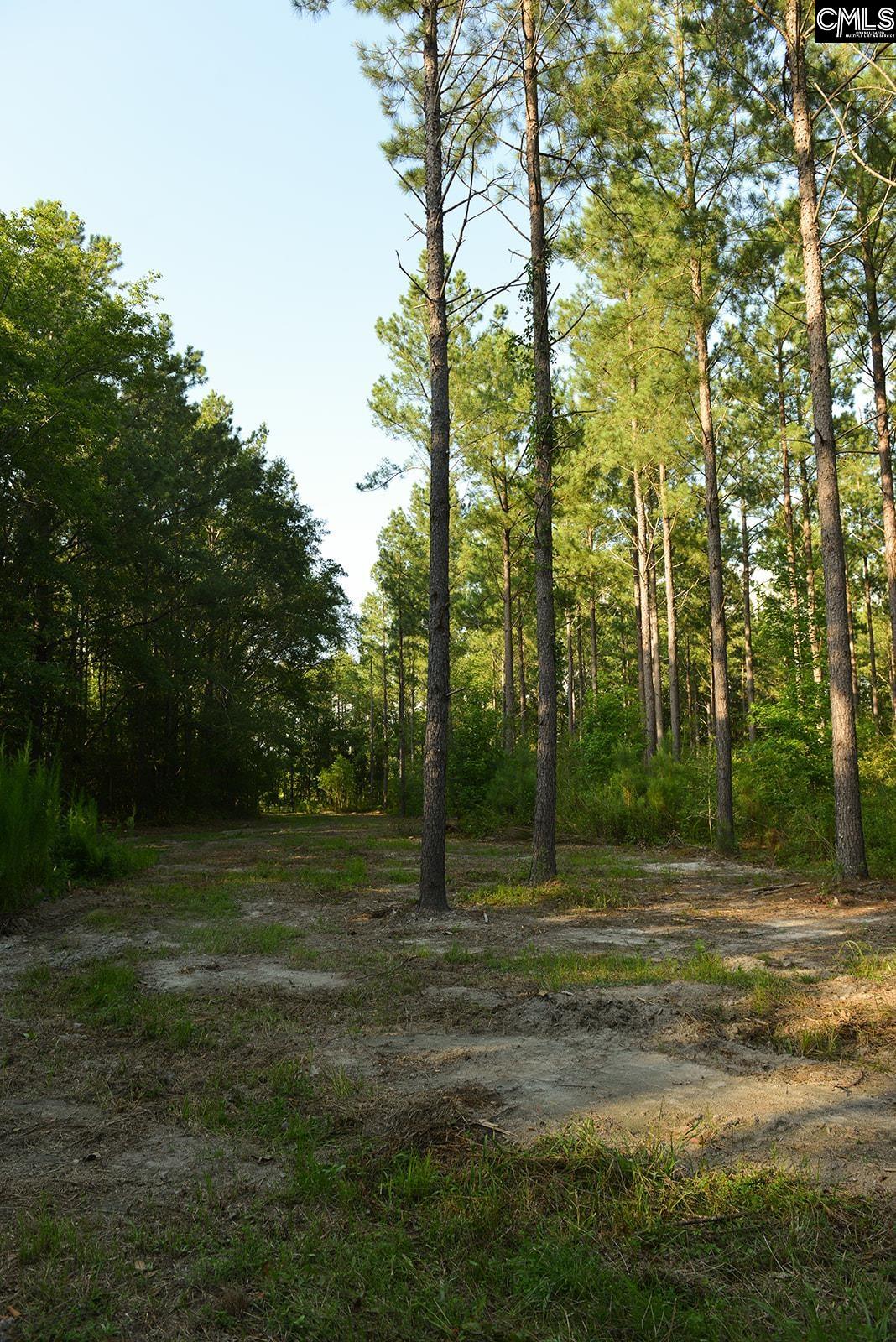 Bagpipe Road Batesburg, SC 29006