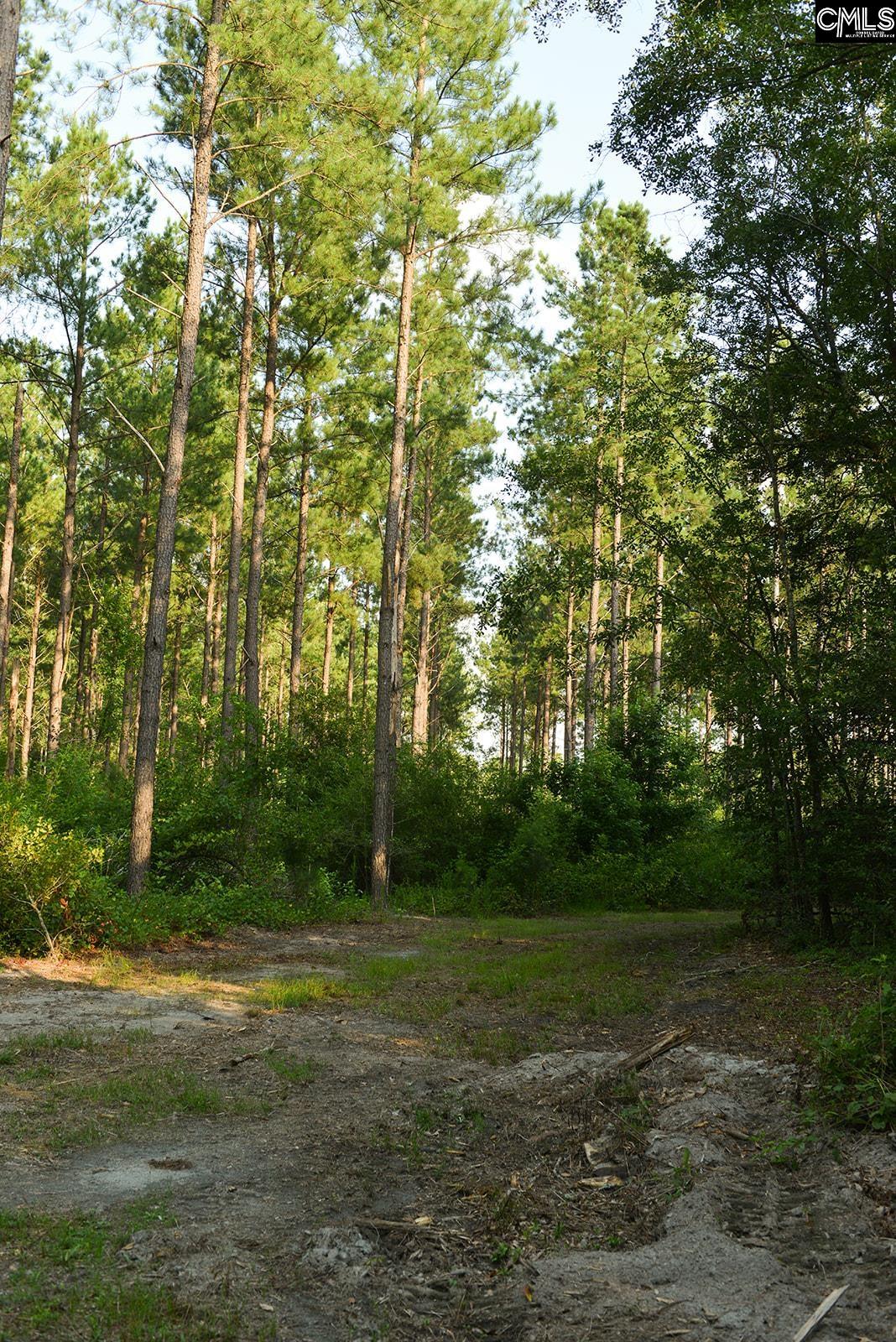 Bagpipe Road Batesburg, SC 29006