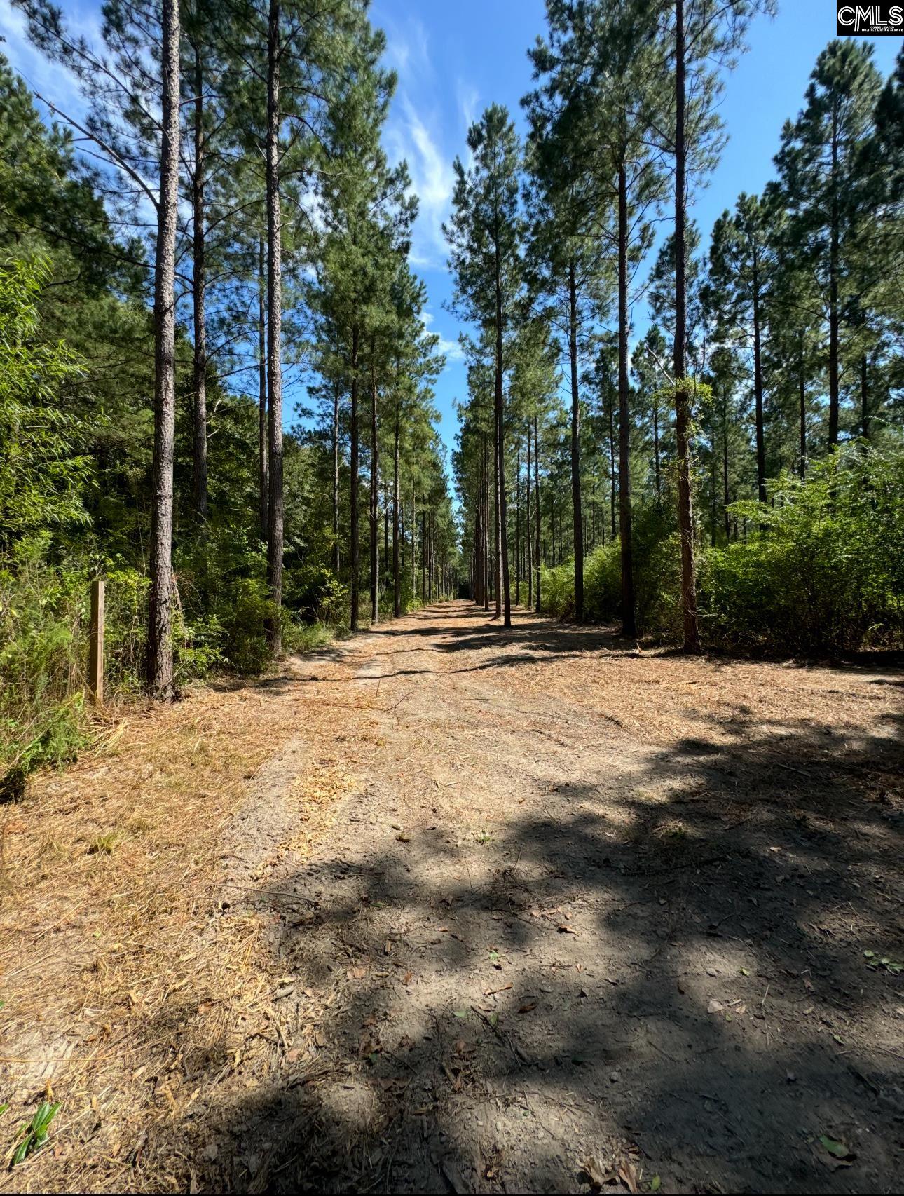 Bagpipe Road, Batesburg, South Carolina image 6