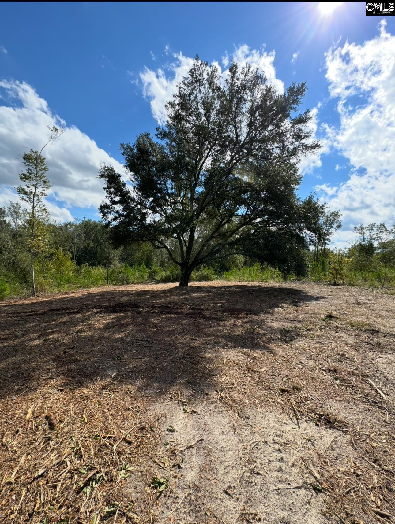 Bagpipe Road, Batesburg, South Carolina image 7