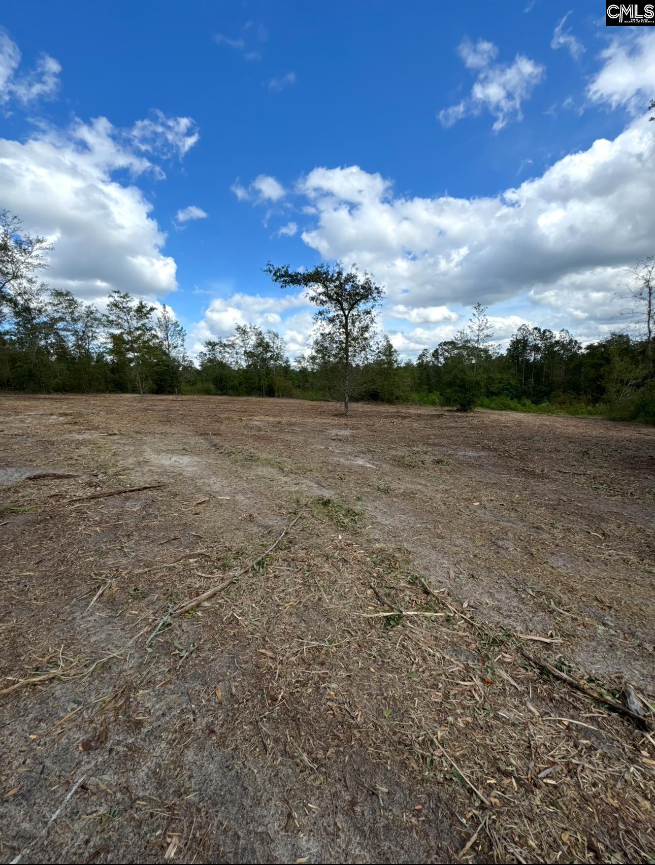 Bagpipe Road, Batesburg, South Carolina image 8