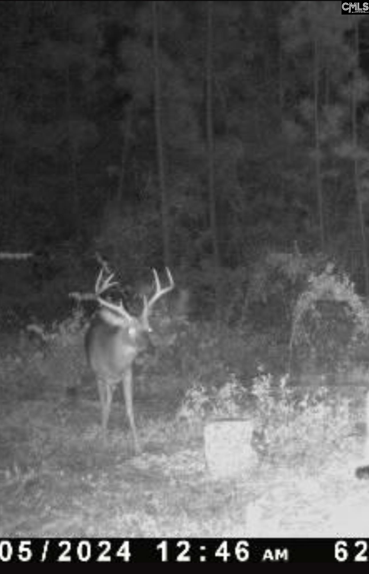 Bagpipe Road, Batesburg, South Carolina image 10