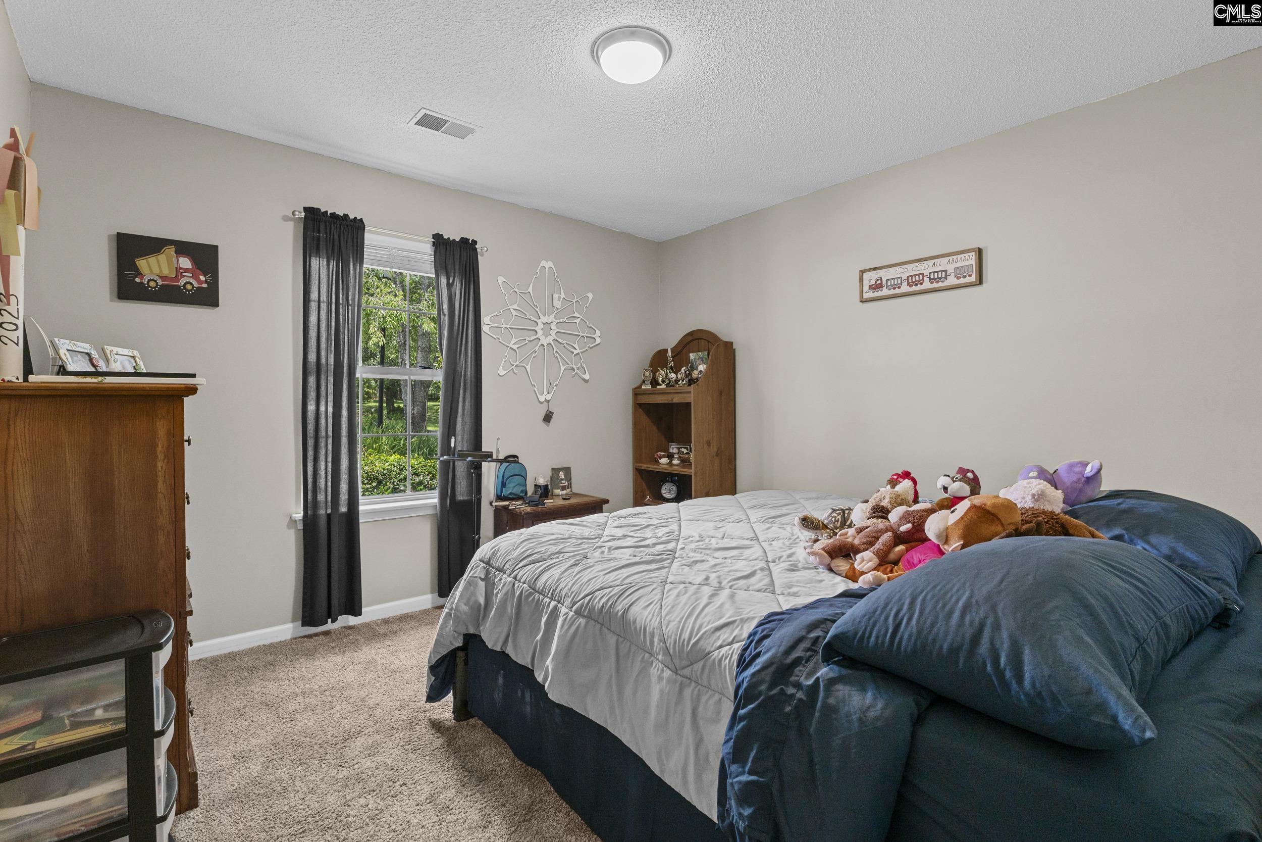 115 Black Creek Lane, Irmo, South Carolina image 15