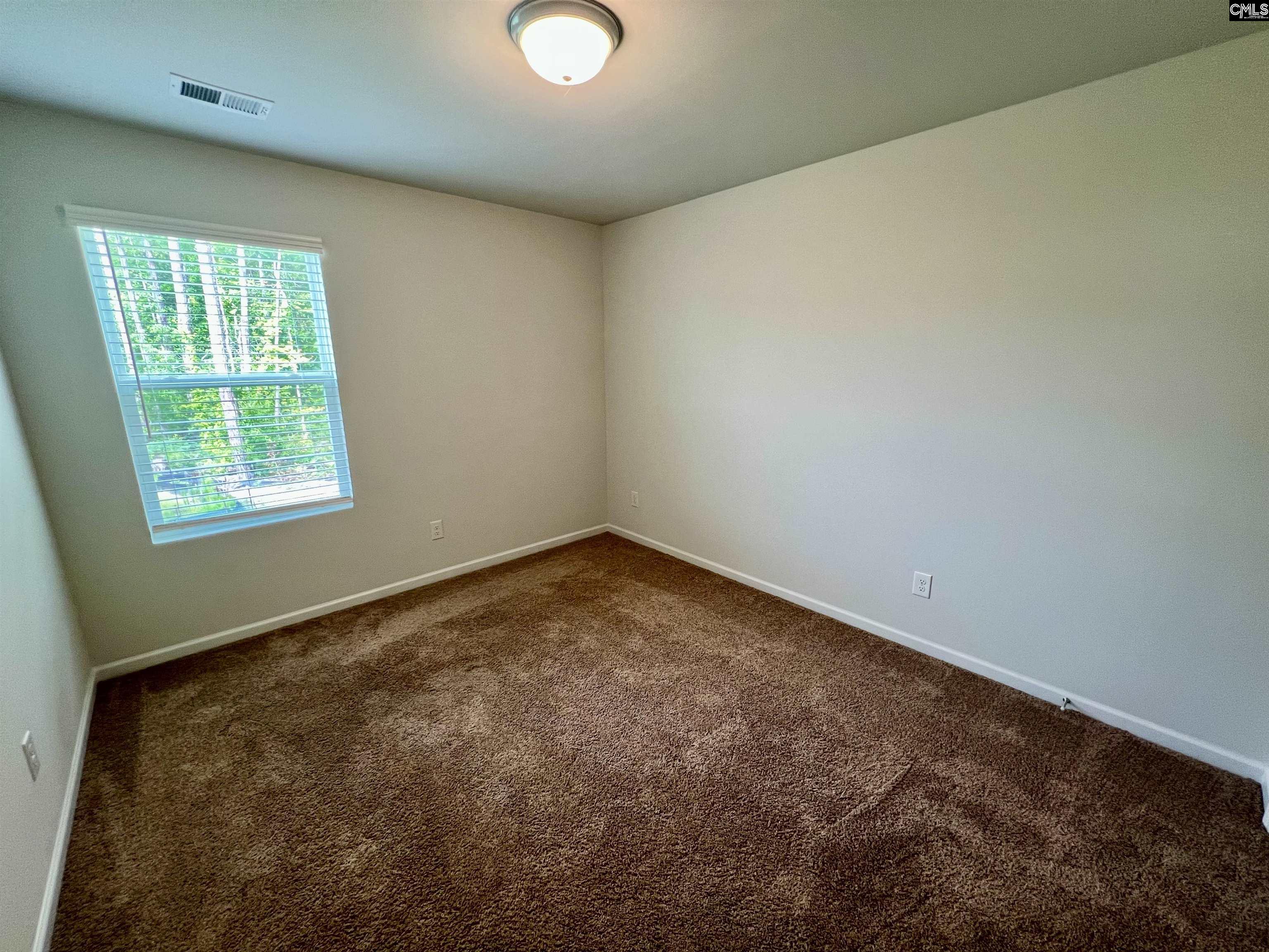 254 Braemar Drive, Lexington, South Carolina image 15