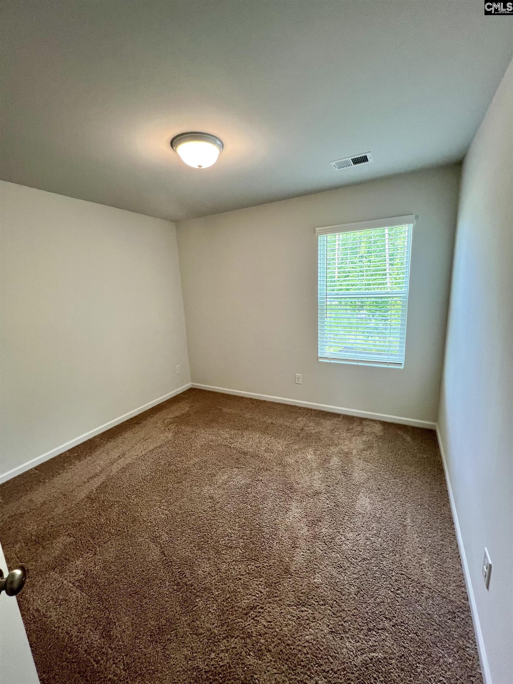 254 Braemar Drive, Lexington, South Carolina image 17